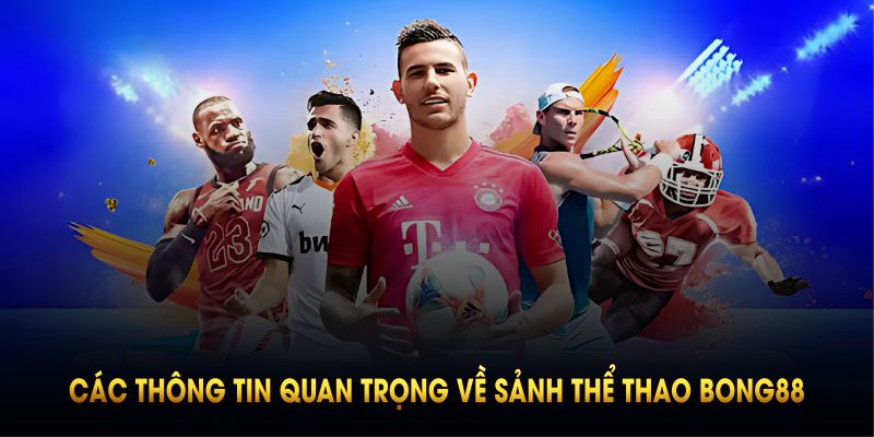 Tổng quan các thông tin quan trọng về sảnh thể thao BONG88