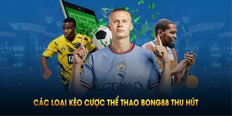 Tổng hợp các loại kèo cược thể thao BONG88 thu hút nhất hiện nay